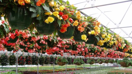 Grower Containers Bfg Supply Grower Containers Bfg Supply