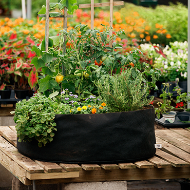 Planters Pots Bfg Supply Flower Pots