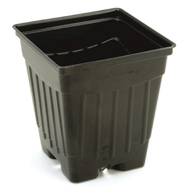 SUM #5 NU5 POT BLACK 450/CS 48CS/PL