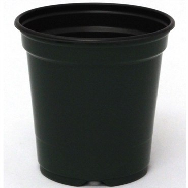 JAN 9CM H 03.50 STD POT BLK/GN — Single Unit