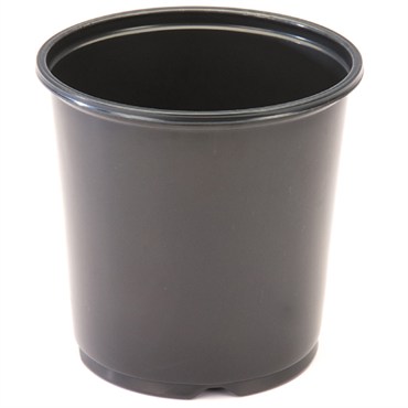JAN 19CM T 1GL POT BLK/BLK 270/CS 16CS/PL