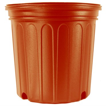 Nursery Supplies 600cu Custom Florida Terra Cotta 114 Cs 50cs Nursery Supplies 600cu Custom Florida Terra Cotta 114 Cs 50cs Tower