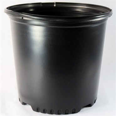 NS PF1000, TRADE SIZE 10 FOLIAGE, 2.25 GALLON, BLACK 89/CS 36CS/TOWER 9-5/8"X9-1/8"), 2Gallon