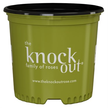 NS PF1200 KNOCK OUT ROSE, TRADE SIZE TRUE 3 GALLON, 3 GALLON, 71/CS 32CS/TOWER (10-1/2"X9-3/8"), 3Gallon
