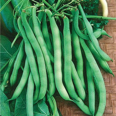 Beans, Burpee Stringless 1/2lb