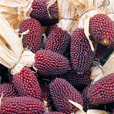 Popcorn, Red Strawberry 1/2lb