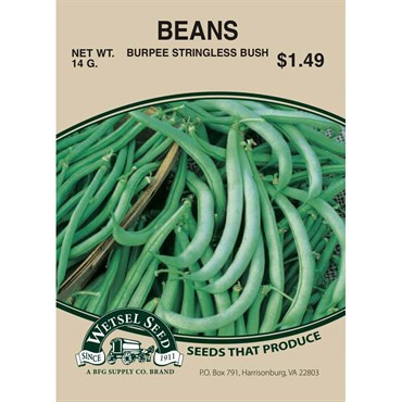 Beans, Burpee Stringless - 14 Gram | BFG Supply