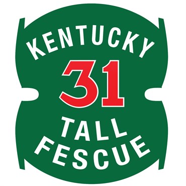 Tall Fescue, Kentucky 31 25#