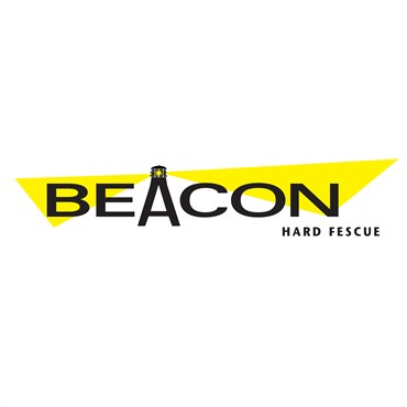 Hard Fescue, Beacon II 50#