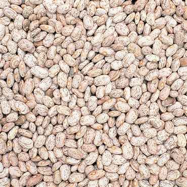 Beans, Pinto 50lb