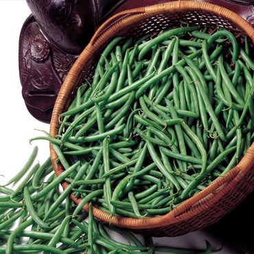 Beans, Bronco Bush 80M