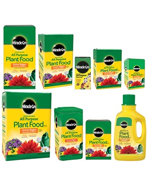 Miracle Gro 4# All Purpose
