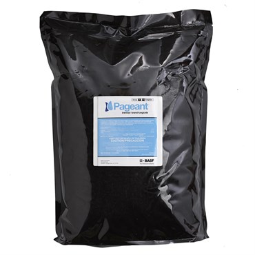 BASF Pageant Intrinsic 12Lb (4/Cs) AGENCY ( Boscalid + Pyraclostrobin )