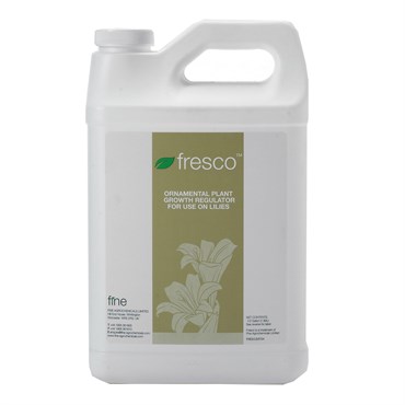 Fine Fresco 1Qt (12/Cs) ( GA 4/7 +  6-BA )
