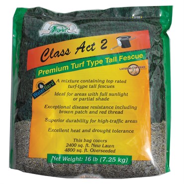 Class Act 2 Turf Fescue 16# Each