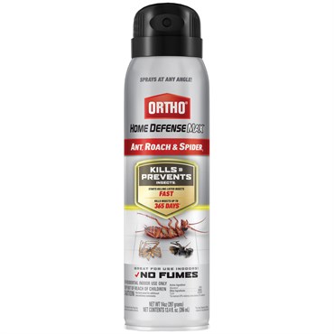 Ortho 14oz Ant, Roach & Spider Aerosol