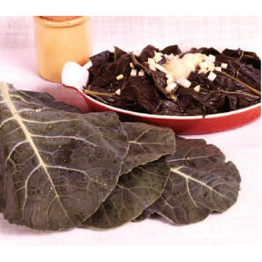 COLLARDS, CHAMPION 50#