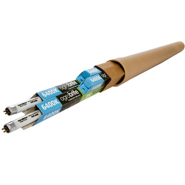HDF T5 2' 6400K Bulb   (Packed 4 bulbs per Inner Case)