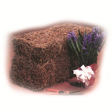 Baled Pine Straw Covers 25 sq ft 48/PL