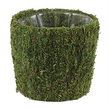 SuperMoss Small Creekside Moss Deco Basket