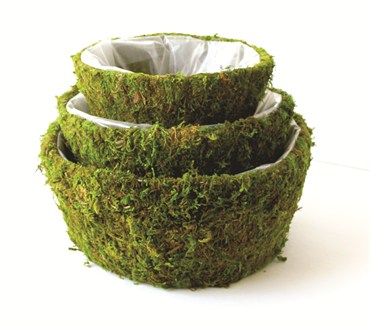 SuperMoss 3pc Set Roseville Round Moss Deco Baskets