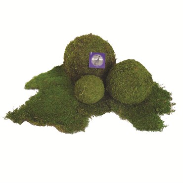 SuperMoss 6" Bulk Moss Balls Fresh Green