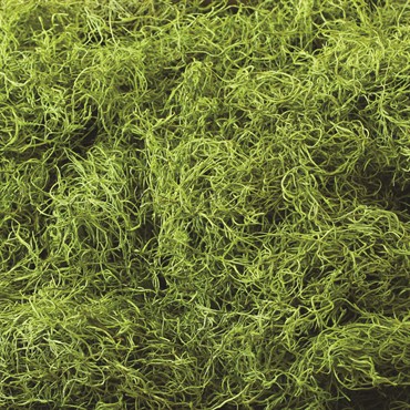 SuperMoss 8oz Spanish Moss Preserved Chartreuse
