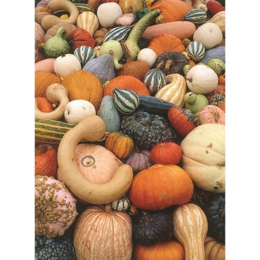 Gourds, Mixed Large Small 1/2oz