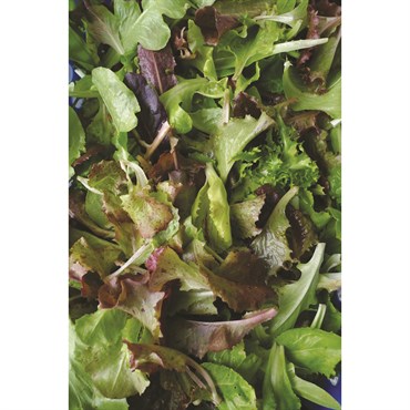 Mixed Greens 1/2oz