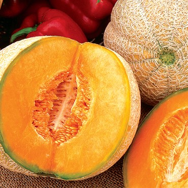 Cantaloupe, Honey Rock 1/2lb