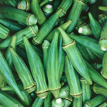 OKRA, CLEMSON SPINELESS 50#