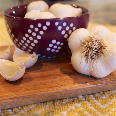 DVG Garlic (softneck) - 100 bulb count