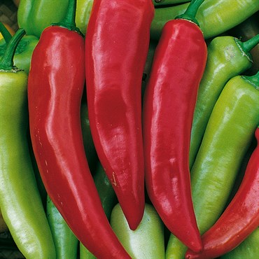 Peppers, Hungarian Hot Wax 1/2oz