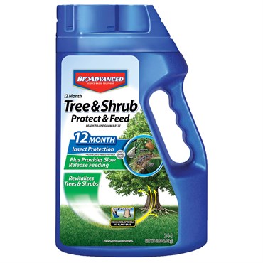 BioAdvanced 4# 12 Month Tree & Shrub Protect & Feed Granules (Keywords: Bayer )