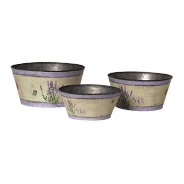 Braun Med Garden Bowl French Lavender