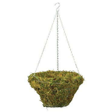 Braun 18" Woodland Moss Hanging Basket w/ Galvanized Wire Hanger