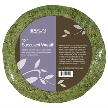 Braun 12" Retail Ready Succulent Wreath