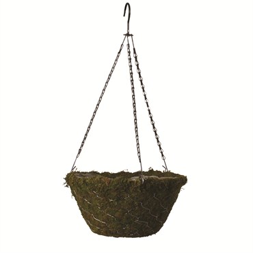 Braun 12" Evergreen Moss Hanging Basket W/ Chain