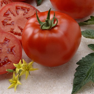 Tomato, Better Boy Untreated 1000 Seed Count