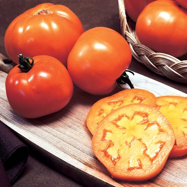 Tomato, Golden Jubilee 1/2oz