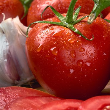 Tomato, Homestead 1/2oz