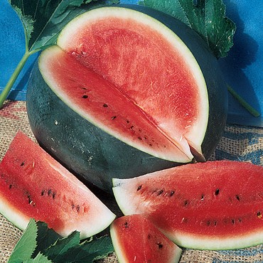 Watermelon, Black Diamond 1/2lb
