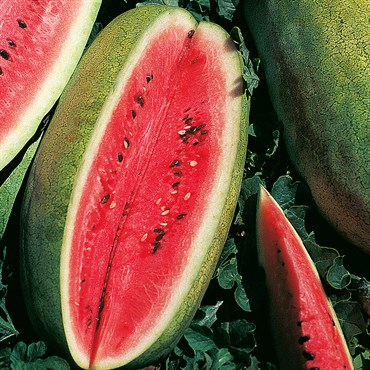 Watermelon, Congo 1/2lb