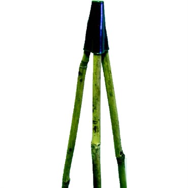Bamboo Supply 48" Bamboo Tripod Trellis 50/BD