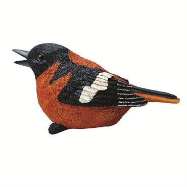 MCarr Oriole Chirper