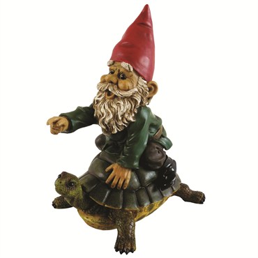 MCarr Garrold Gnome On Turtle