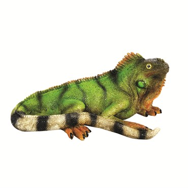 MCarr Iguana Small