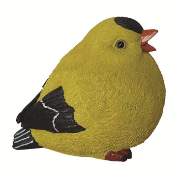 MCarr Fat Goldfinch