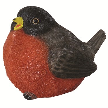 MCarr Fat Robin
