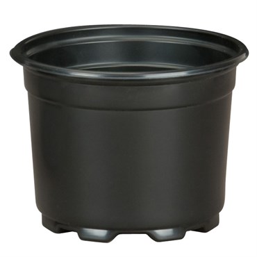 DLN 05.00 AZ SHORT COEX     BLK/BLK 675/CS 36CS/PL